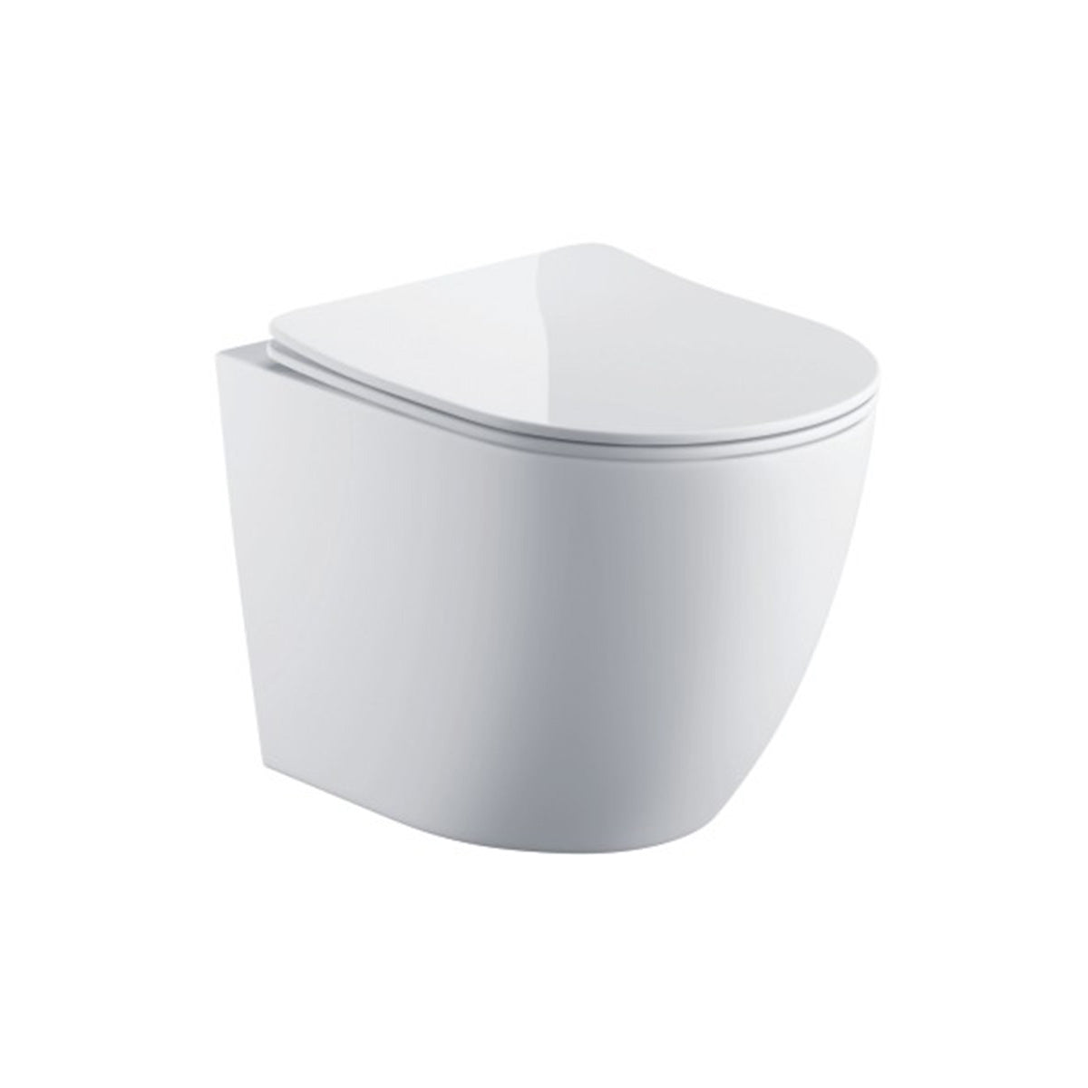 Remo Wall Hung Toilet & SAN85 1.1m Wall Hung WC Frame Deal & Chrome Flush Plate